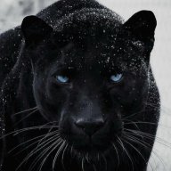 Pantera!!