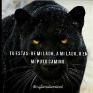 Novatillo