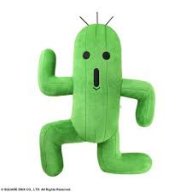Cactilio