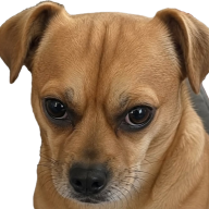 BenitoCamelo01