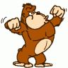 gorila7