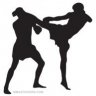 mfighter