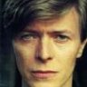dbowie