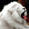 Leo.ES