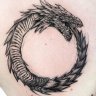 Dragon_76
