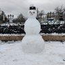 sr snow