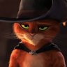Mr.cattador