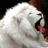 Leo.ES