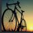 El bicicleta