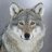 TheWolf