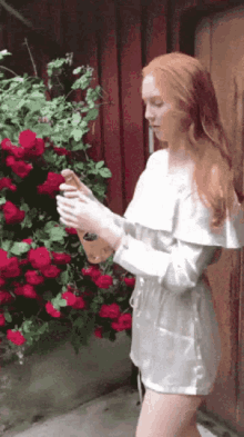 champagne-open-bottle.gif