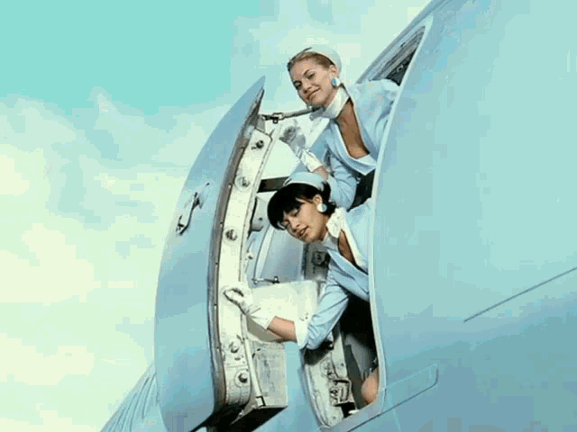 busted-air-hostess.gif